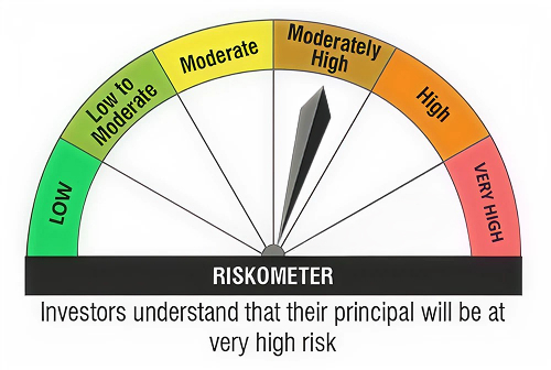 Investor understand that their principal will be at very high risk