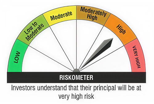 Investor understand that their principal will be at very high risk